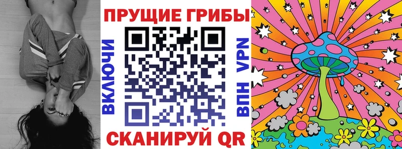 сайты даркнета состав  MEGA ТОР  Новочеркасск  Псилоцибиновые грибы Psilocybe 